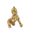 Bal Gopal Loves Laddoo