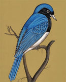 Miniature Painting 'Blue Bird'
