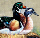 Exotic Ducks - Silk Painting