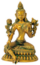 Tara Statue in Antique Golden Finish