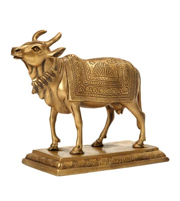 Gau - The Beloved Cow Of Indians