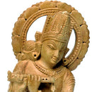 The Messenger Of Karmayoga-Lord Krishna