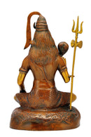 Blessing Lord Shiv Shankar