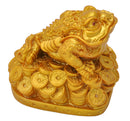 Fengshui Money Frog