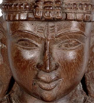 Shiva Trimbakeshwar
