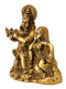 Lord Krishna with Radha as Gopica