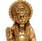 Hanuman - The Eleventh Rudravatar of Lord Shiva