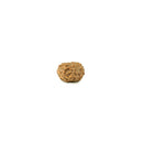 10 Mukhi Java Rudraksha Bead