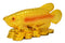 Fengshui Golden Fish with Coins