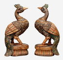 Peacocks of India - Wood Sculptures