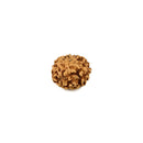 6 Mukhi Rudraksha