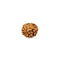 6 Mukhi Rudraksha