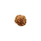 Rudraksha Six Face Bead