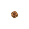 Indonesian 3 Mukhi Rudraksha Bead