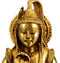 Shiva - The Ascetic God