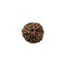 Rudraksha Bead 8 Faced