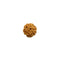 Six Mukhi (face) Rudraksha