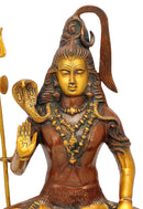 Blessing Lord Shiv Shankar