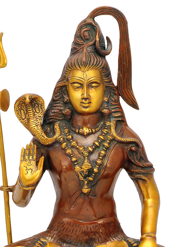 Blessing Lord Shiv Shankar