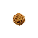 Rudraksha 6 Face Bead