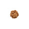 Rudraksha Six Face Bead