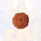 9 Mukhi Rudraksha Bead