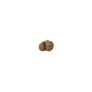 Gauri Shankar Rudraksha