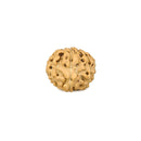 Twelve Faced Rudraksha Bead