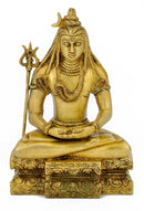 Dhyani Shiva 7.75"