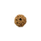 8 Mukhi Rudraksh Bead