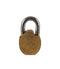Lord Ganesha - Decorative Lock