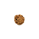 6 Mukhi Rudraksha