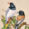 Miniature Painting 'Beautiful Birds'