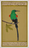 Miniature Painting 'Green Bird'