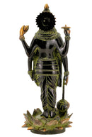 Lord Shri Hari Narayan