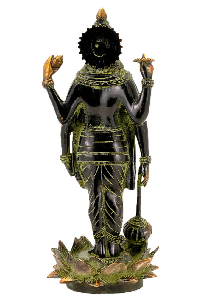 Lord Shri Hari Narayan