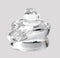 'One Who Purifies' Crystal Shiva Linga