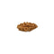 1 Mukhi Single Faced Rudraksha