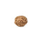 8 Mukhi Rudraksha