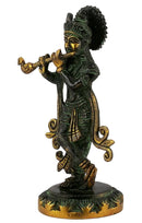 Krishna The Devine Musician