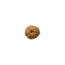 12 Faced Rudraksha of Java