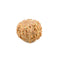 7 Faced Rudraksha