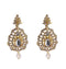 Elegant Beauty Stone Studded Earrings Dangle and Drop