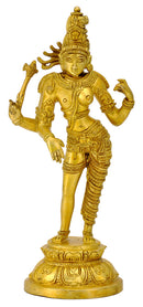 Ardhanarishvara - Combined Form of Lord Shiva Parvati