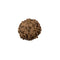 Rudraksha - 8 Faced